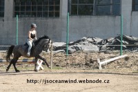 /album/jsoceanwind/a175-2-jpg/